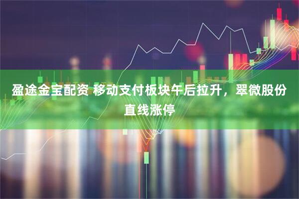 盈途金宝配资 移动支付板块午后拉升，翠微股份直线涨停