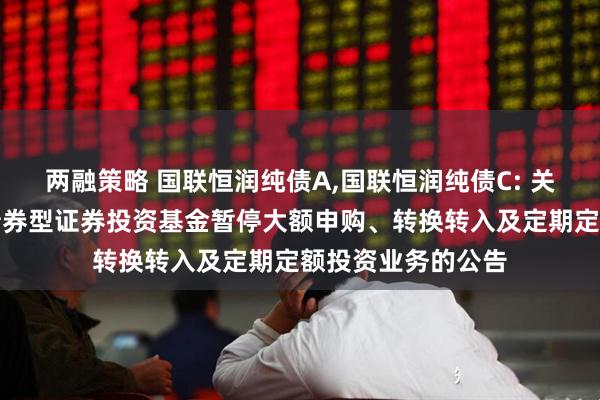 两融策略 国联恒润纯债A,国联恒润纯债C: 关于国联恒润纯债债券型证券投资基金暂停大额申购、转换转入及定期定额投资业务的公告
