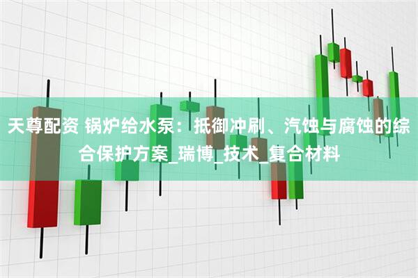 天尊配资 锅炉给水泵：抵御冲刷、汽蚀与腐蚀的综合保护方案_瑞博_技术_复合材料