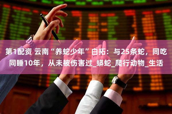 第1配资 云南“养蛇少年”白拓：与25条蛇，同吃同睡10年，从未被伤害过_蟒蛇_爬行动物_生活