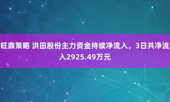 旺鼎策略 洪田股份主力资金持续净流入，3日共净流入2925.49万元