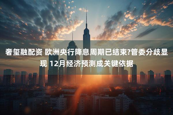 奢玺融配资 欧洲央行降息周期已结束?管委分歧显现 12月经济预测成关键依据