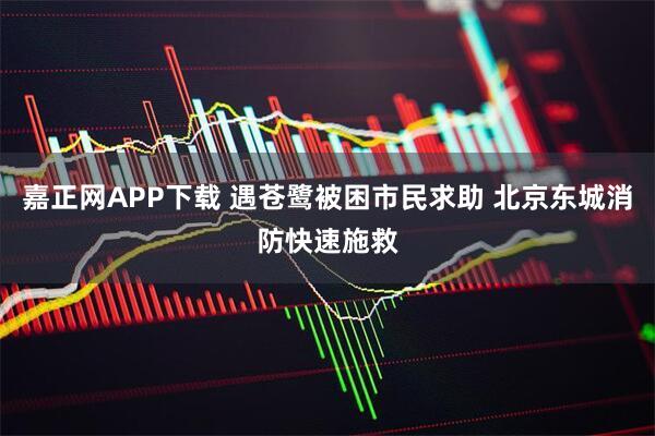 嘉正网APP下载 遇苍鹭被困市民求助 北京东城消防快速施救